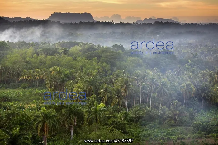 : View of El Yunque, Baracoa, Guantanamo province : View of El Yunque, Baracoa, Guantanamo province
