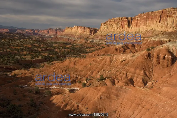 : View of the extensive Waterpocket Fold : View of the extensive Waterpocket Fold