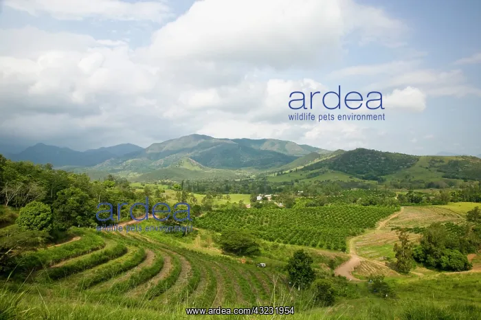 : View of the Farino Valley, Farino, South : View of the Farino Valley, Farino, South