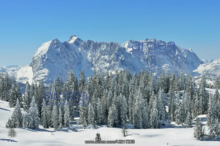 : View from Fellhorn to the Wilder Kaiser in winter : View from Fellhorn to the Wilder Kaiser in winter