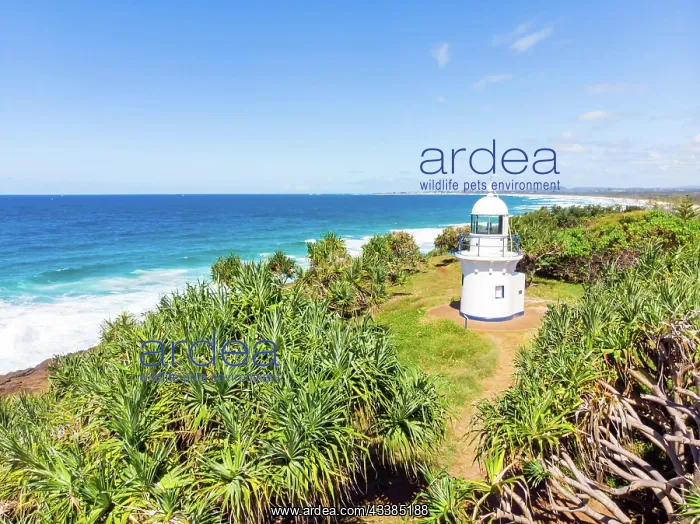 : A view over Fingal Head and Fingal Head Causeway n : A view over Fingal Head and Fingal Head Causeway n