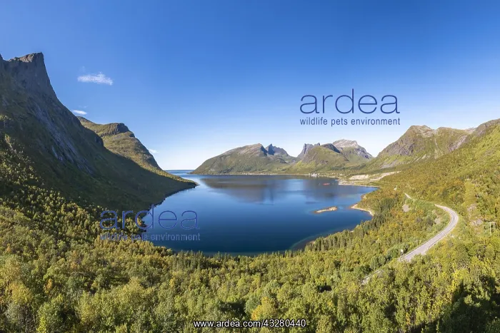 : View of Fjord, Bergsbotn, Senja Island, Troms, Norway : View of Fjord, Bergsbotn, Senja Island, Troms, Norway