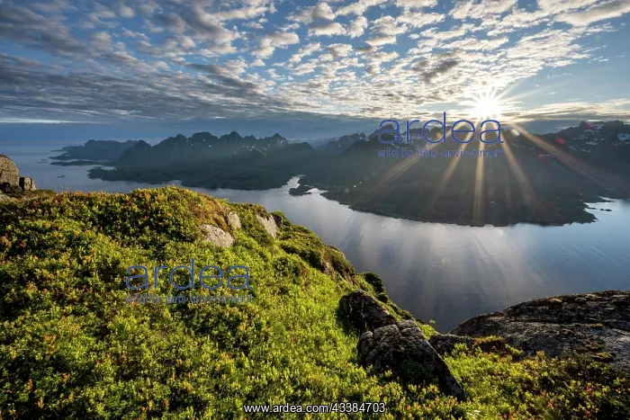 : View of Fjord Raftsund and mountains in the evening light : View of Fjord Raftsund and mountains in the evening light