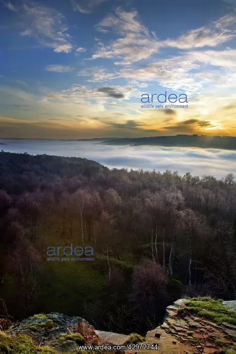 : View form Hathersage over looking frost covered : View form Hathersage over looking frost covered