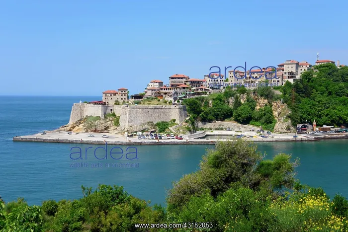 : View of fortress with old town, Ulcinj, Montenegro : View of fortress with old town, Ulcinj, Montenegro