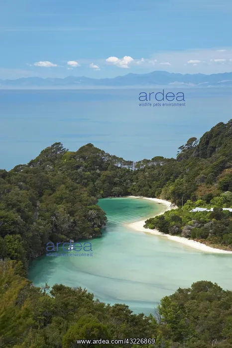 : View of Frenchman Bay from Abel Tasman Coastal : View of Frenchman Bay from Abel Tasman Coastal