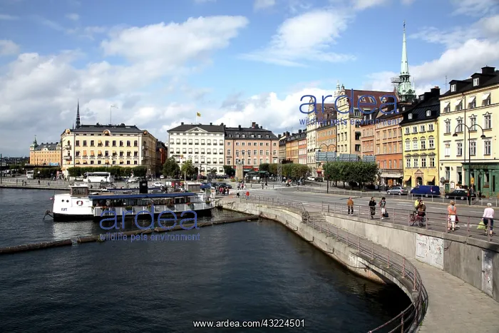 : The view of Gamla Stan the old town center : The view of Gamla Stan the old town center