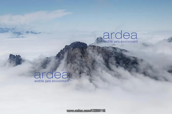 : View from Gehrengrat over the fog-shrouded peaks : View from Gehrengrat over the fog-shrouded peaks