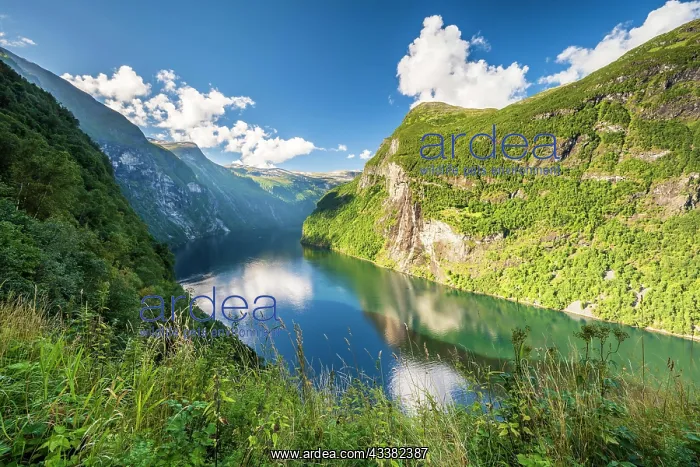 : View of Geirangerfjord, near Geiranger, Mcre og : View of Geirangerfjord, near Geiranger, Mcre og