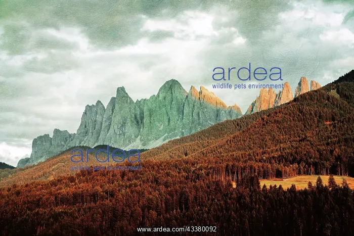 : View of the Geisler, Dolomites : View of the Geisler, Dolomites
