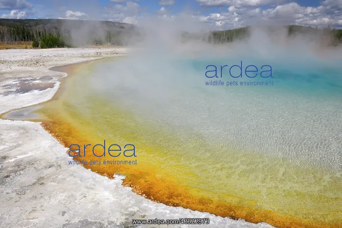 : View over the geothermal pool Sunset Lake : View over the geothermal pool Sunset Lake