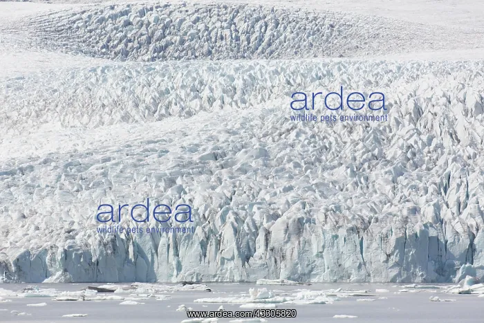 : View of the glacial lake Fjallsarlon with the glacier : View of the glacial lake Fjallsarlon with the glacier