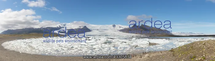 : View of the glacial lake Fjallsarlon with the glacier : View of the glacial lake Fjallsarlon with the glacier