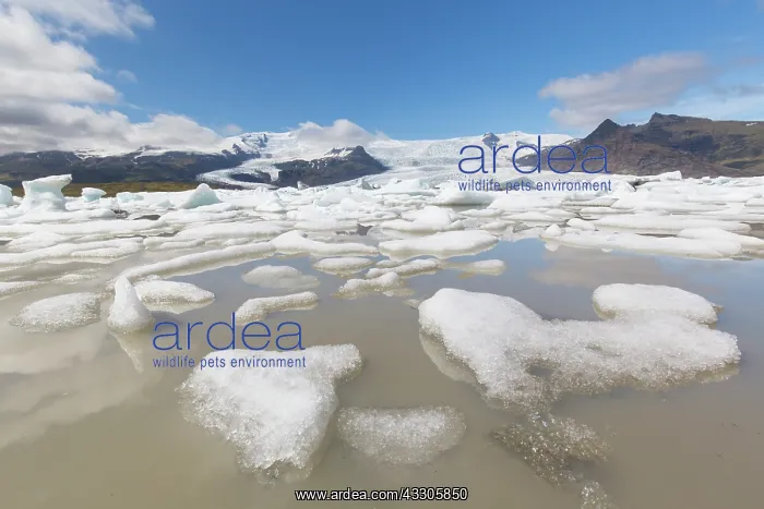 : View of the glacial lake Fjallsarlon with the glacier : View of the glacial lake Fjallsarlon with the glacier