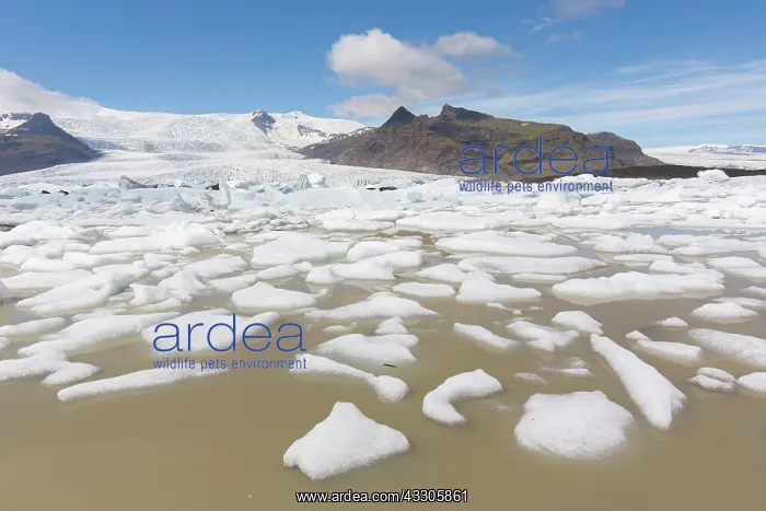 : View of the glacial lake Fjallsarlon with the glacier : View of the glacial lake Fjallsarlon with the glacier