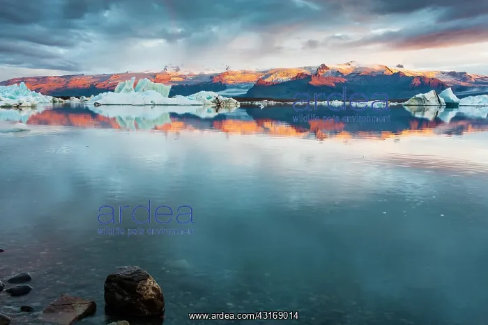 : View over the glacial lake J?kulsarlon at sunrise with the g : View over the glacial lake J?kulsarlon at sunrise with the g