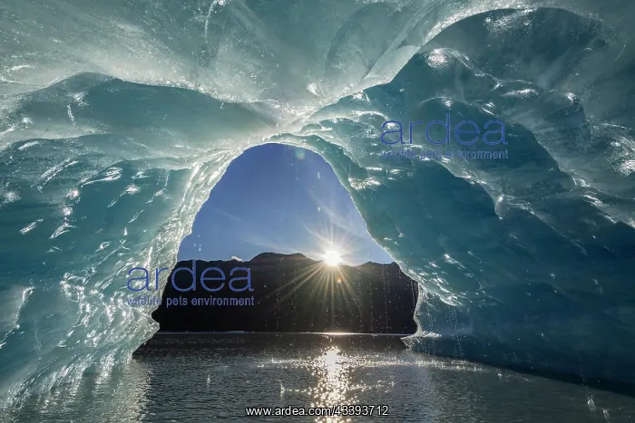 : View from Glacier Cave, Spencer Glacier, Chugach : View from Glacier Cave, Spencer Glacier, Chugach