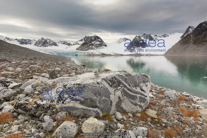  : View at glacier Gullybreen - Svalbard - Norway