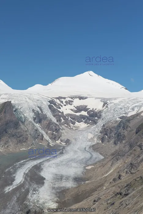  : View over glacier Pasterze to the mountain Johannisberg