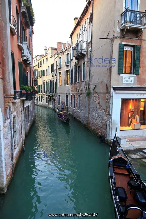 : View of gondola on side canal near San Maria : View of gondola on side canal near San Maria