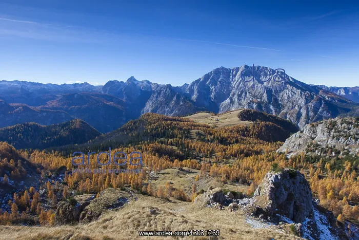 : View at Gotzenalm in autumn - Berchtesgaden National : View at Gotzenalm in autumn - Berchtesgaden National
