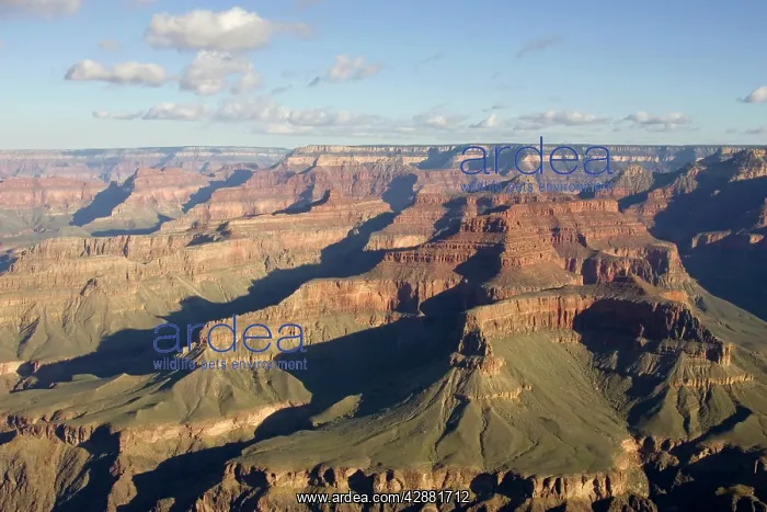: View of the Grand Canyon from Hermit Road (West : View of the Grand Canyon from Hermit Road (West