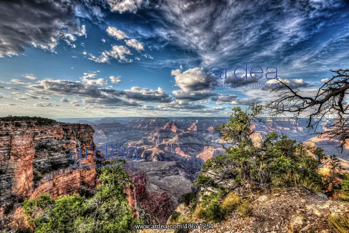 : View of the Grand Canyon from the South Rim : View of the Grand Canyon from the South Rim