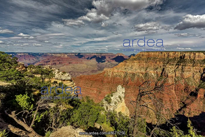  : View of the Grand Canyon from the South Rim