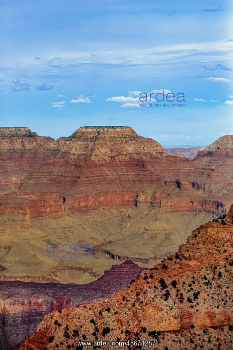 : View of the Grand Canyon from the South Rim : View of the Grand Canyon from the South Rim