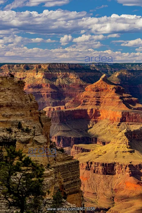 : View of the Grand Canyon from the South Rim : View of the Grand Canyon from the South Rim