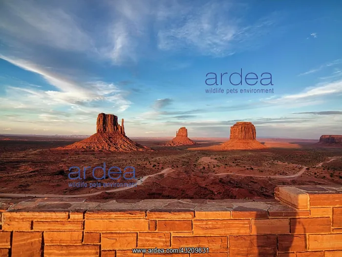 : View of gravel road and mesas at sunset from the : View of gravel road and mesas at sunset from the
