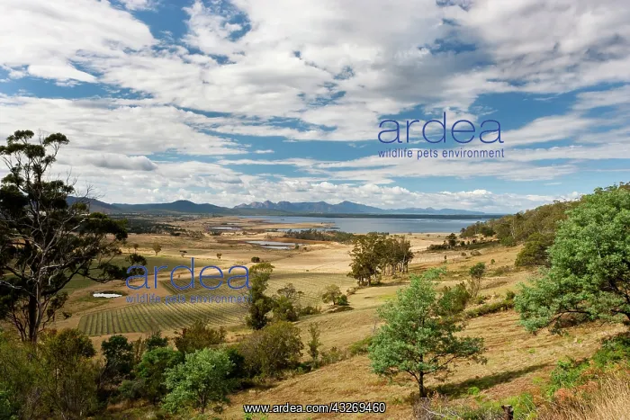 : View of Great Oyster Bay and Freycinet Peninsula : View of Great Oyster Bay and Freycinet Peninsula