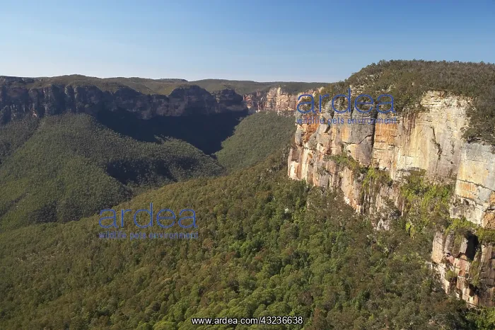: View over Grose Valley from Govetts Leap : View over Grose Valley from Govetts Leap