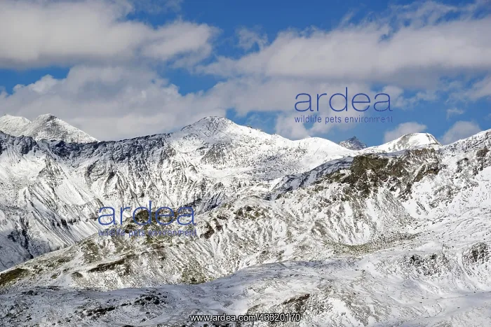 : View along the Grossglockner High Alpine Road to : View along the Grossglockner High Alpine Road to