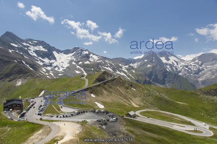 : View at the Grossglockner High Alpine Road - Salzburg : View at the Grossglockner High Alpine Road - Salzburg