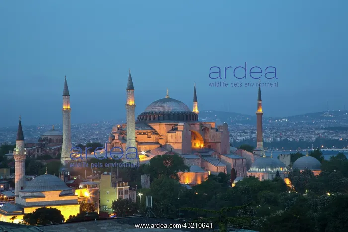 : View of Haghia Sophia in evening light : View of Haghia Sophia in evening light