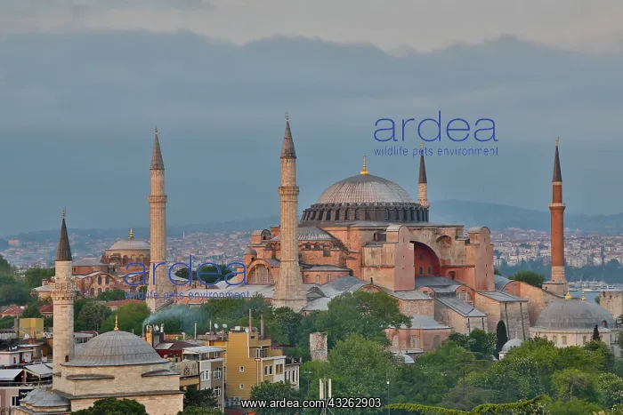 : View of Haghia Sophia in evening light : View of Haghia Sophia in evening light