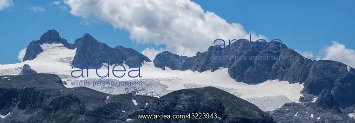 : View to the Hallstatt Glacier and High Dachstein : View to the Hallstatt Glacier and High Dachstein