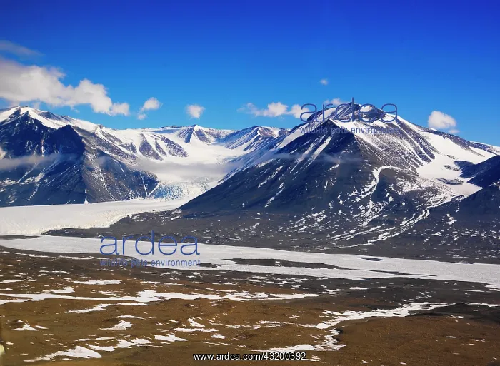 : View from a helicopter of the Canada Glacier in : View from a helicopter of the Canada Glacier in