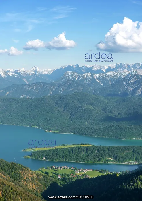 : View from Herzogstand to Walchensee with Lake Walchensee : View from Herzogstand to Walchensee with Lake Walchensee