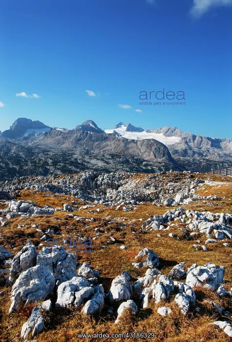 : View to the High Dachstein, Dachstein Massif, Obertraun : View to the High Dachstein, Dachstein Massif, Obertraun