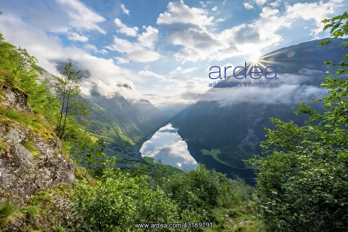 : View from the hiking trail Rimstig, Rimstigen, sun : View from the hiking trail Rimstig, Rimstigen, sun