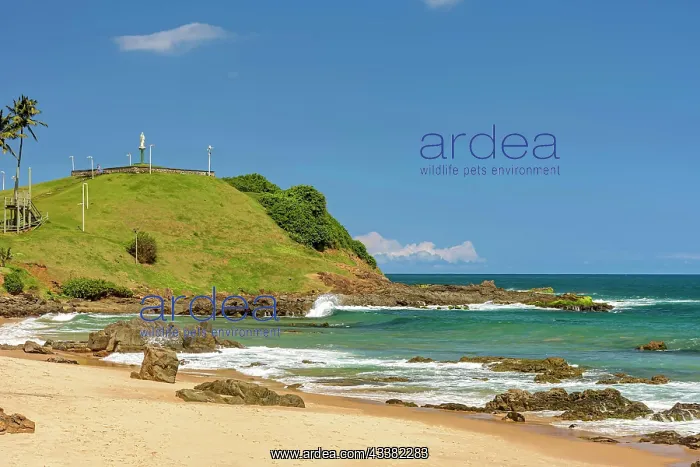 : View of hill of Christ and the ocean located on : View of hill of Christ and the ocean located on