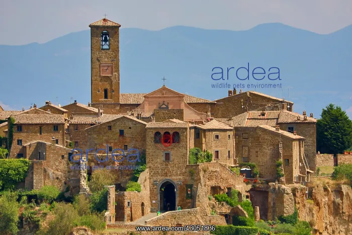 : View of the hilltop village of Civita di Bagnoregio : View of the hilltop village of Civita di Bagnoregio