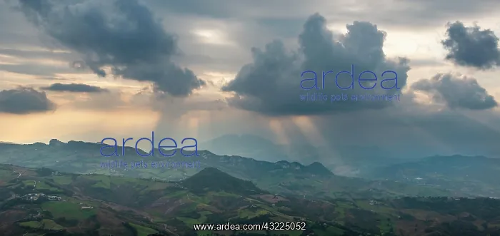 : View over the hilly landscape of San Marino, sunrays : View over the hilly landscape of San Marino, sunrays