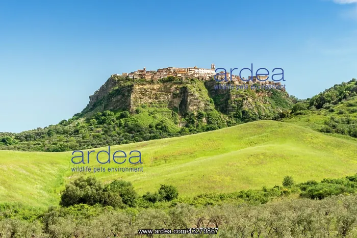  : View of historic village Santa Severina located