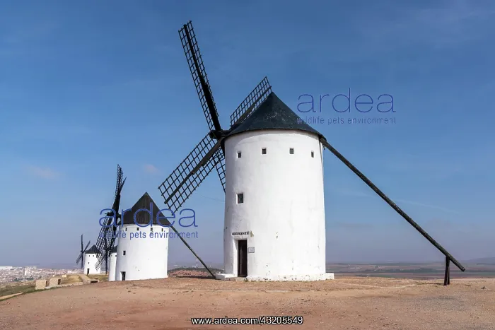 : View of the historic the windmills of La Mancha : View of the historic the windmills of La Mancha
