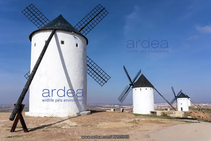 : View of the historic the windmills of La Mancha : View of the historic the windmills of La Mancha