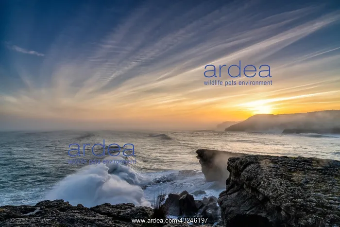 : A view of huge storm surge ocean waves crashing : A view of huge storm surge ocean waves crashing