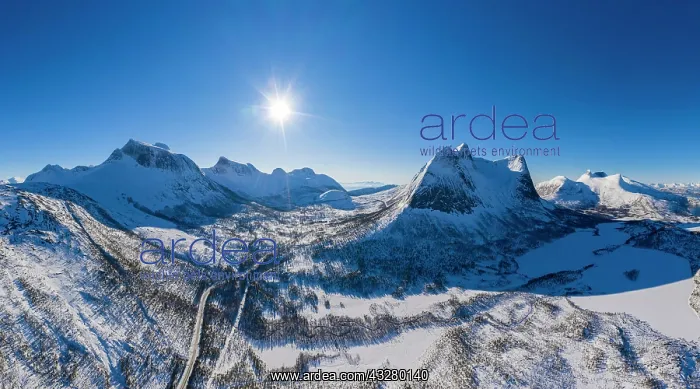 : View to Huglhornet and Stortinden at the Efjord : View to Huglhornet and Stortinden at the Efjord